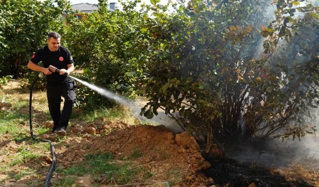 Düzce itfaiyesi 3 ayda 300 anız yangınına müdahale etti