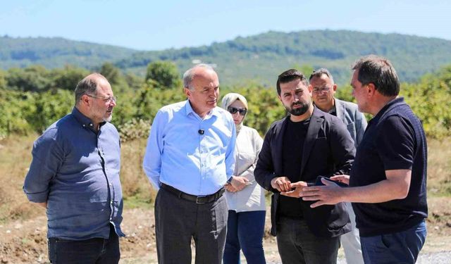 Düzce'de 400 milyon lira asfalta ayrıldı