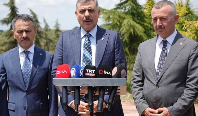 'Türkiye'de sahipsiz sokak hayvanlarının yüzde 92,35'i artık barınaklarda'