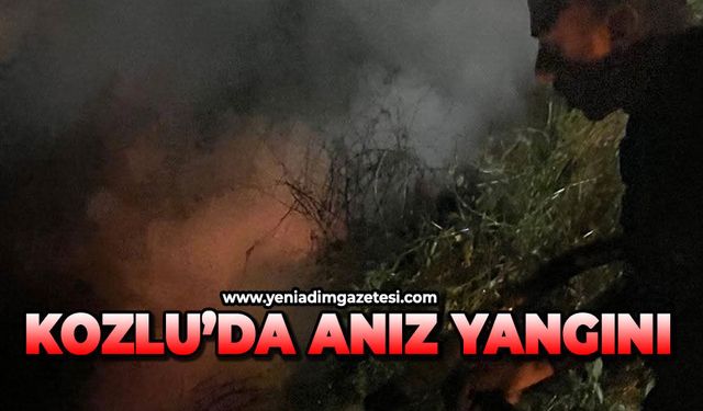 Kozlu'da anız yangını
