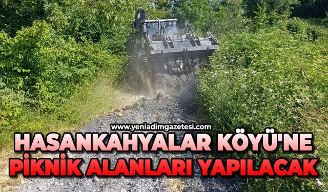 Hasankahyalar Köyü'ne piknik alanları yapılacak