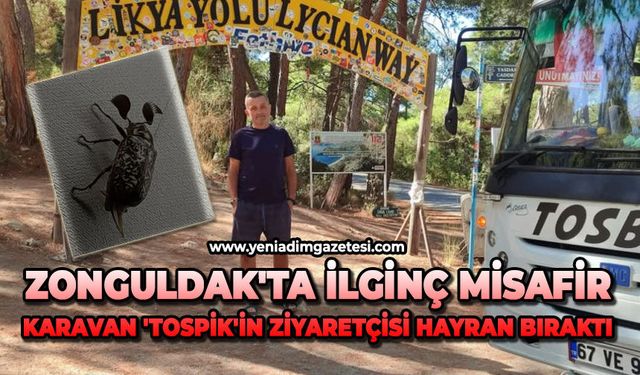 ZONGULDAK