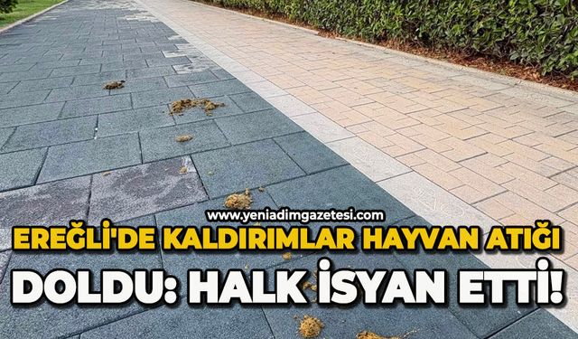 Ereğli'de kaldırımlar hayvan atığı doldu: Halk isyan etti!