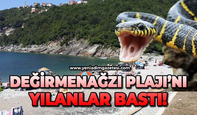 KOZLU