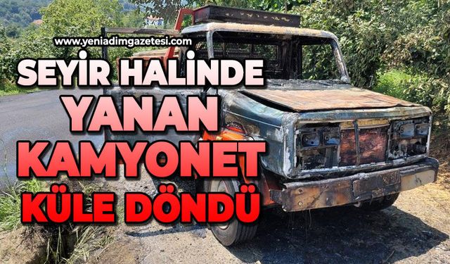Seyir halindeki kereste yüklü kamyonet alevlere teslim oldu