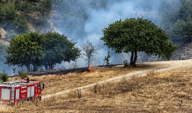 Anız yangını ormanlık alana sıçramadan söndürüldü