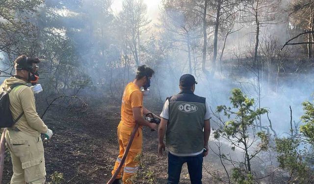Bolu'da ormanlık alanda çıkan yangın kontrol altına alındı