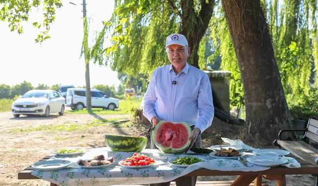 Bu bahçede yetiştirilen ürünler ihtiyaç sahiplerine gönderiliyor