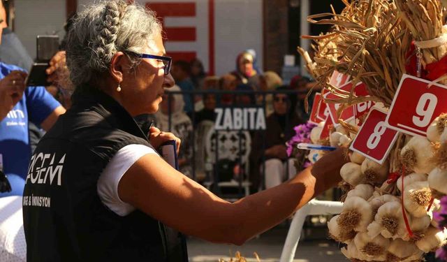 Dünyaca ünlü Taşköprü sarımsağı festivalde yarıştı