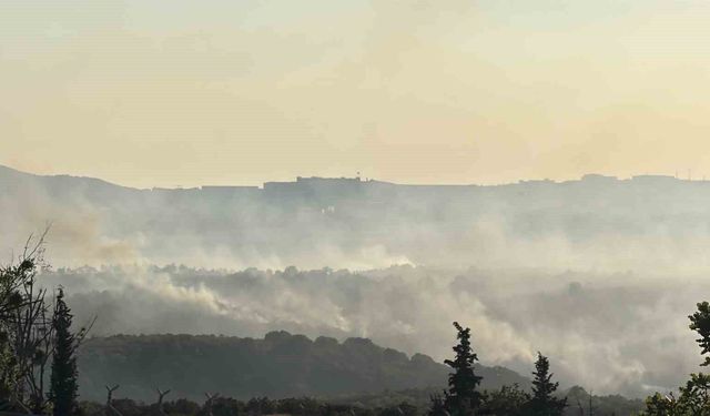 Gebze'deki orman yangını havadan görüntülendi