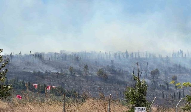 Kocaeli'de ormanlık alanda yangın: Bölgeye ekipler sevk edildi