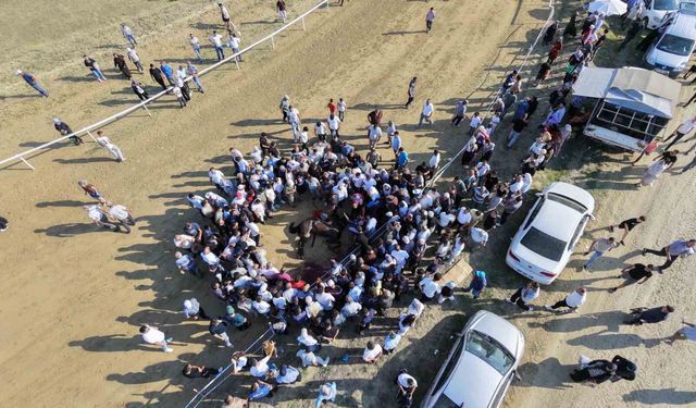 Yarışta çarpışan iki at telef oldu, jokey son anda atlayarak kurtuldu