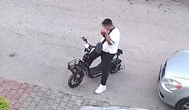 Yavru kediyi önce öpüp sonra boğmuştu, gözaltına alındı