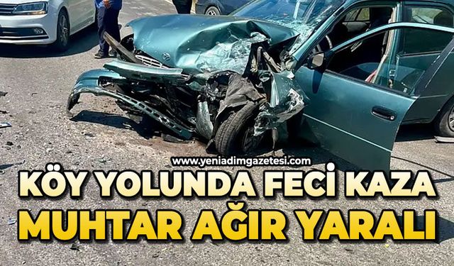 Köy yolunda feci kaza: Muhtar ağır yaralı