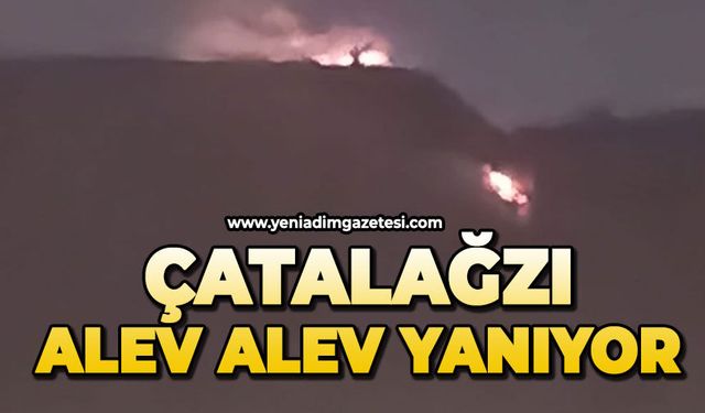 KİLİMLİ