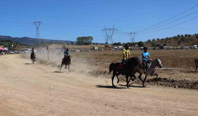 Bolu'da 15'inci geleneksel Rahvan At Yarışları'nda 75 at derece için yarıştı