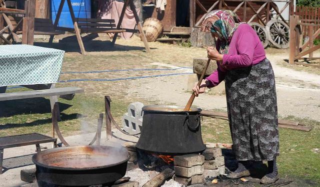 Kadınların kış mesaisi başladı: Elmalar kazanlarda pekmeze dönüşüyor