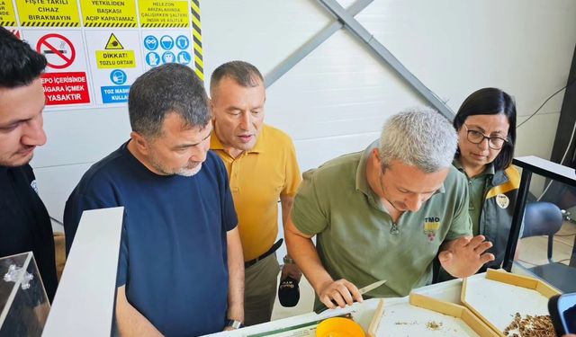 Yığılca TMO fındık alım merkezi açıldı