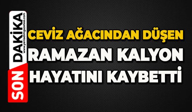 GENEL