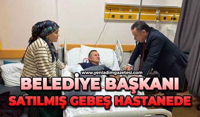 DEVREK