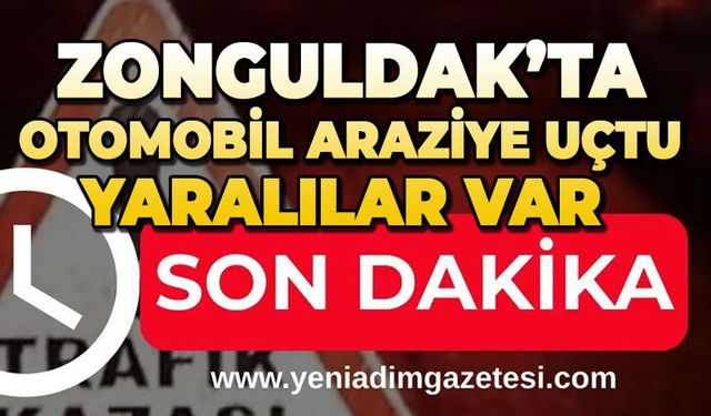 Zonguldak'ta otomobil araziye uçtu; 4 yaralı