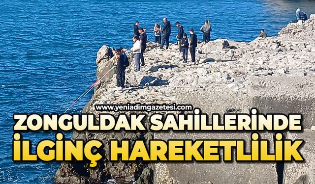 Zonguldak sahillerinde ilginç hareketlilik