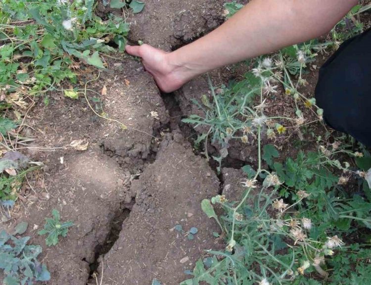 Derenin kuruduğunu ilk kez gördüler: Çiftçiler imece usulü ayakta