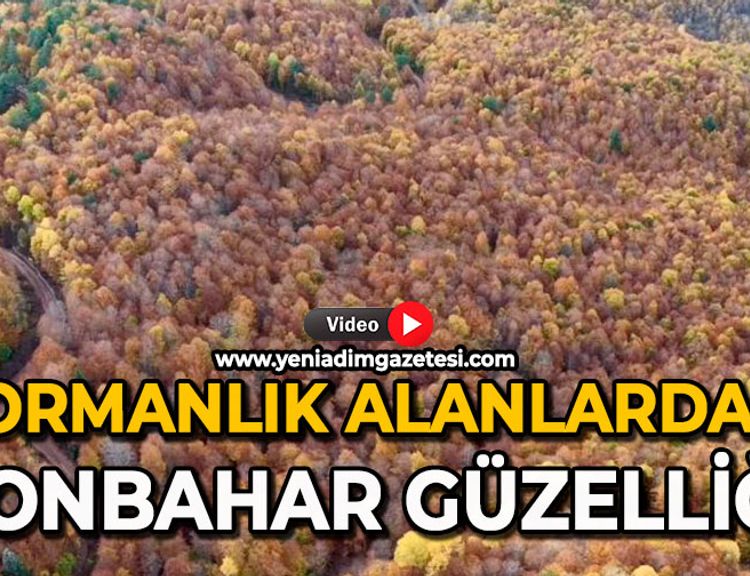 Ormanlık alanlarda sonbahar güzelliği