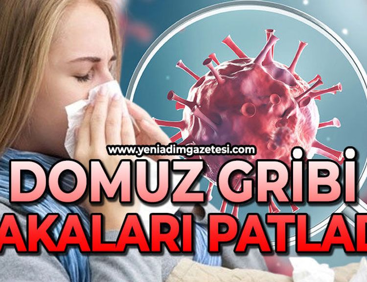 Domuz gribi vakalarında artış