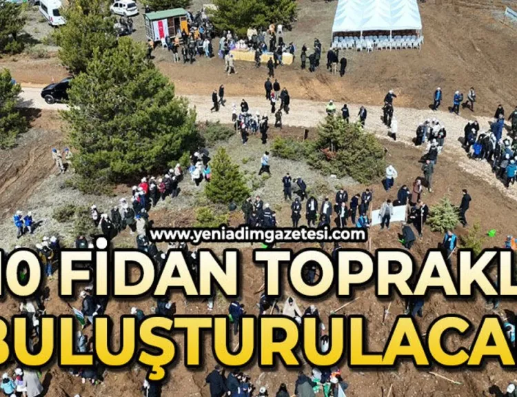 210 bin fidan toprakla buluşturulacak