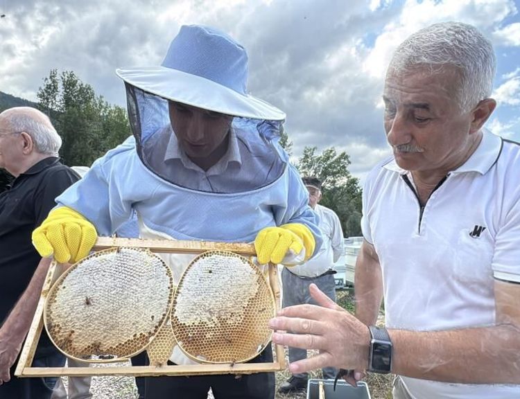 AB tescilli Yenice ıhlamur balında hasat başladı