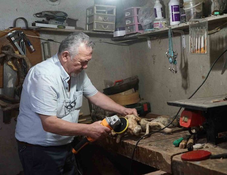 Kurumuş ağaç dalları ve kökleri ellerinde yeniden hayat buluyor