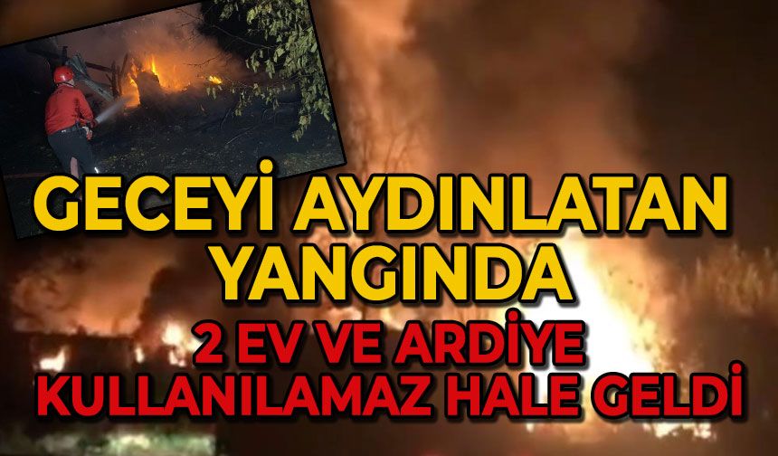 2 ev ve ardiye alev alev yandı