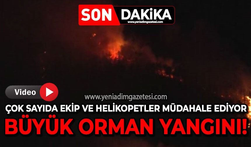 Karabük'te orman yangını: Helikopterler ve çok sayıda ekip mücadele ediyor!