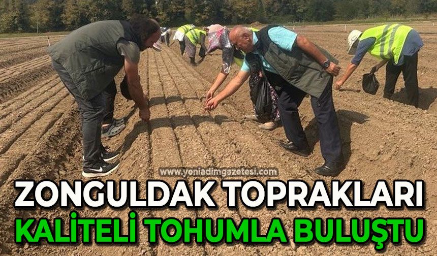 Zonguldak toprakları kaliteli tohumla buluştu