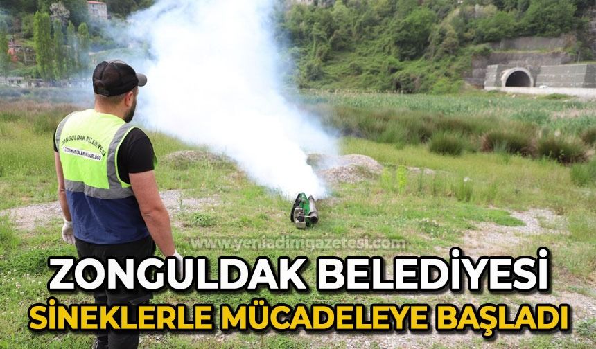 Zonguldak Belediyesi sineklerle mücadeleye başladı