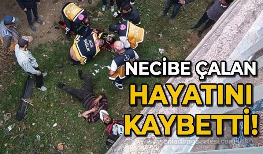 Kamyonet dereye uçtu: Necibe Çalan hayatını kaybetti!