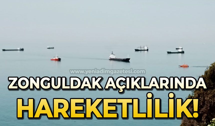 Zonguldak açıklarında hareketlilik: Yoğunluk var!