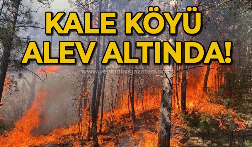 Kale köyünde yangın: Orman yangınında alevler yayılıyor