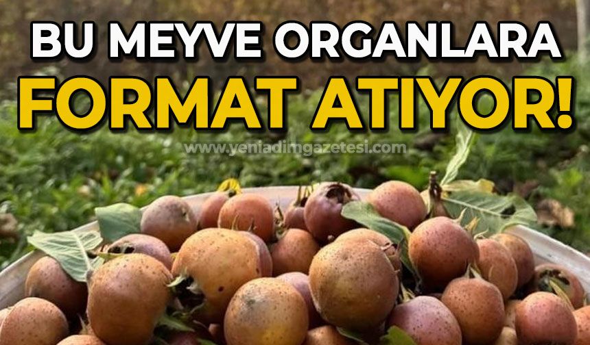 Bu meyve organlara format atıyor!