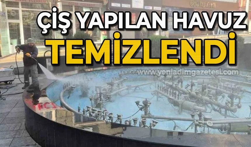 Süs havuzuna tuvaletini yapan adamın akli dengesinin yerinde olmadığı ortaya çıktı