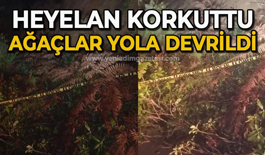 Heyelan korkuttu: Ağaçlar yola devrildi