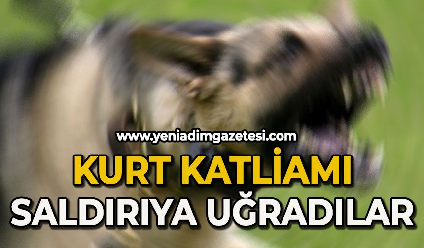 Kurtların saldırısına uğradı!