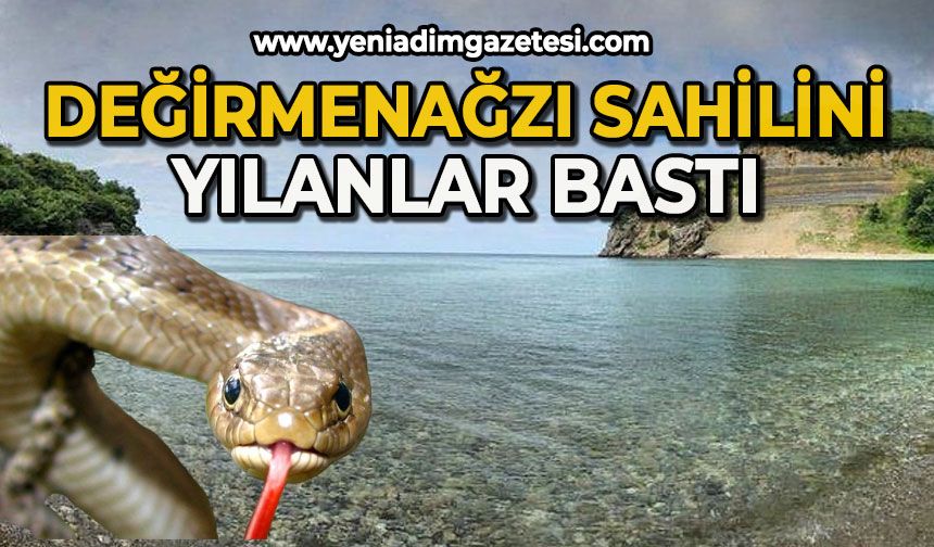 Değirmenağzı Sahili'ni yılanlar bastı