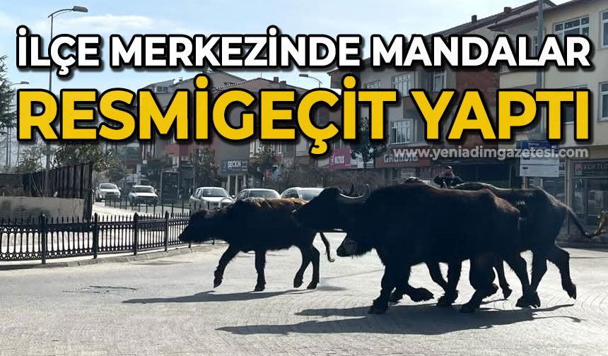 Mandalar resmigeçit yaptı