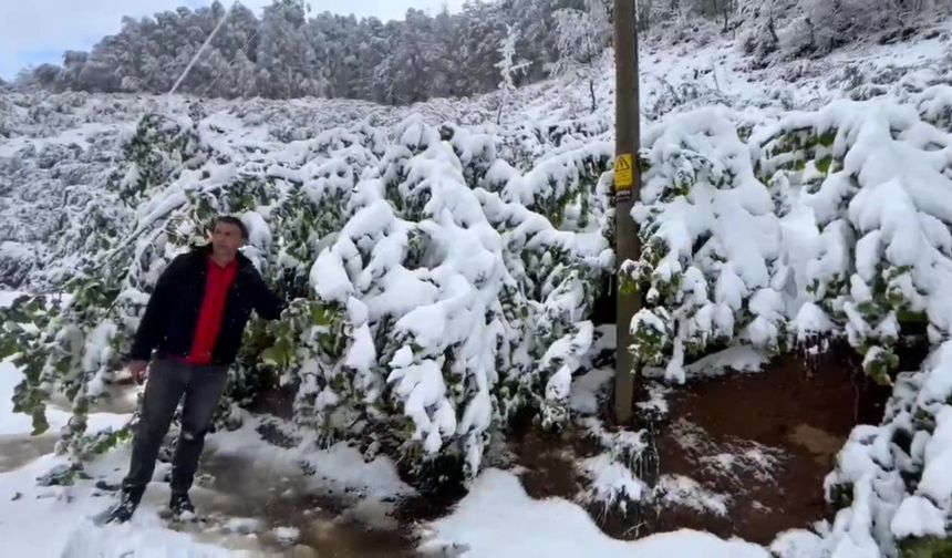 Zonguldak’ın yüksek kesimlerinde kar etkili oldu