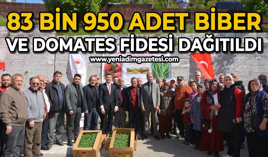 83 bin 950 adet biber ve domates fidesi dağıtıldı