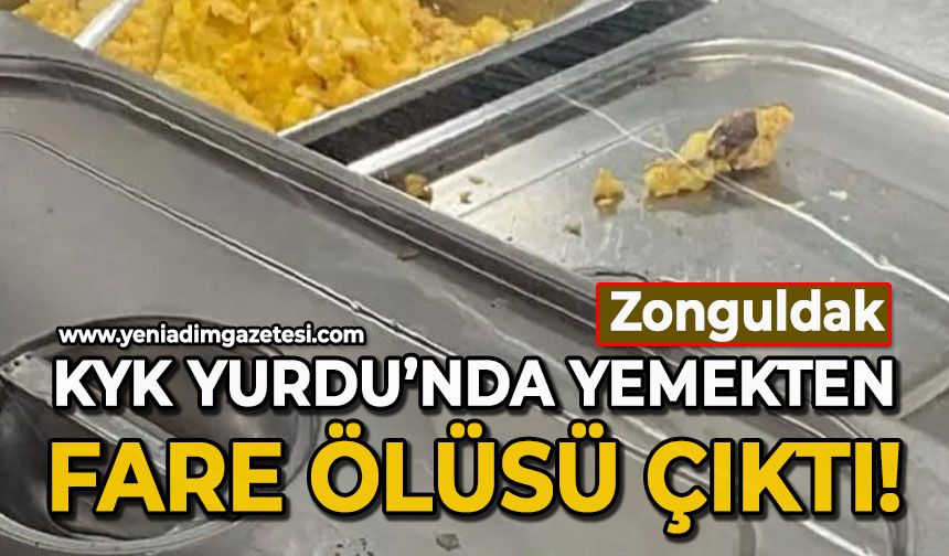 Zonguldak'ta KYK yurdunda mideler bulandı: Yemekten fare ölüsü çıktı