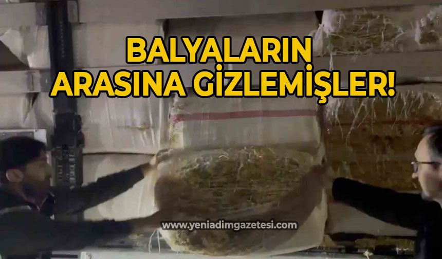 Balyaların arasına gizlemişler!