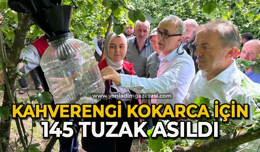 Kahverengi Kokarca için 145 tuzak asıldı
